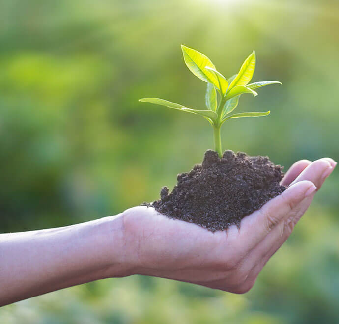 Conciencia ecológica